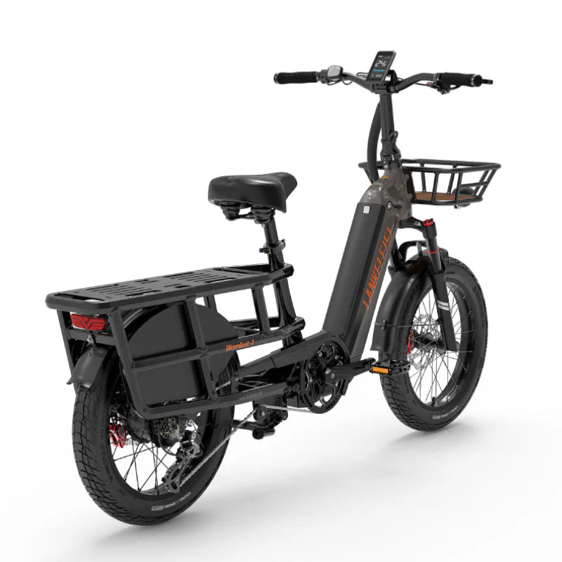 Lankeleisi Wombat-1 1000W — 1000W electric bike (view 5 of 5)